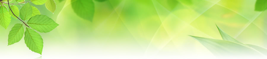 �u���C���o�Ȃ�40��� �� ���N�i���Ől���ɍē_�΁I�v